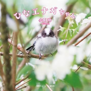 電子版特典付き　ひなエナガちゃん