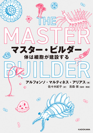 マスター・ビルダー　体は細胞が建設する
