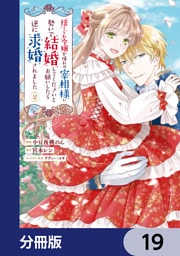 捨てられ令嬢が憧れの宰相様に勢いで結婚してくださいとお願いしたら逆に求婚されました【分冊版】　19