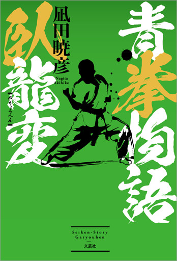 青拳物語 臥龍変