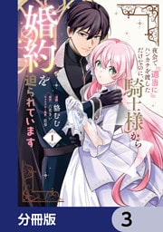 夜会で『適当に』ハンカチを渡しただけなのに、騎士様から婚約を迫られています【分冊版】　3