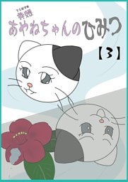 寺娘 あやねちゃんのひみつ 【3】