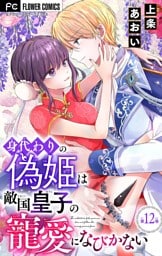 身代わりの偽姫は敵国皇子の寵愛になびかない【マイクロ】（１２）