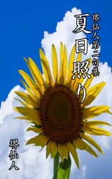 堺仙人第二句集　夏日照り