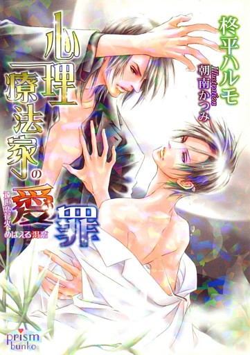 心理療法家の愛罪～遠い恋花火、めばえる渇恋～