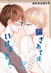 騙されてはいけません。(2)