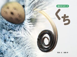 くち