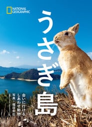 うさぎ島　会いに行けるしあわせ動物