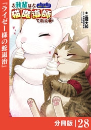 我輩は猫魔導師である～キジトラ・ルークの快適チート猫生活～【分冊版】（ポルカコミックス）２８
