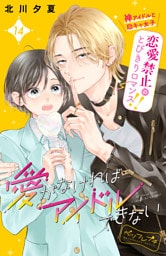 愛がなければアイドルできない　ベツフレプチ（１４）