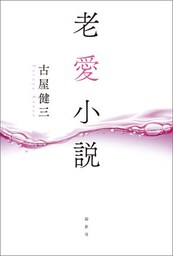 老愛小説