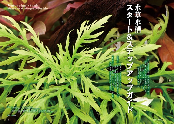 特集　水草水槽 スタート＆ステップアップガイド