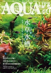 アクアライフ ４月号