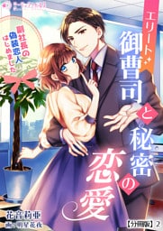 エリート御曹司と秘密の恋愛～副社長の偽装恋人はじめました～【分冊版】2