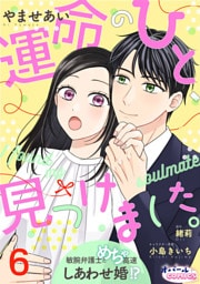 運命のひと、見つけました。 敏腕弁護士とめちゃ高速しあわせ婚！？６