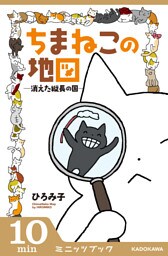 ちまねこの地図 ―消えた縦長の国―