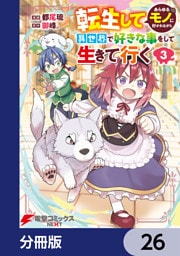 転生してあらゆるモノに好かれながら異世界で好きな事をして生きて行く【分冊版】　26