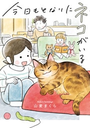 今日もとなりにネコがいる