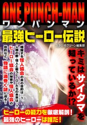 ワンパンマン　最強ヒーロー伝説