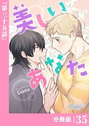 美しいあなた【分冊版】35（ビアンココミックス）