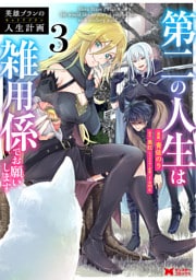 英雄ブランの人生計画 第二の人生は雑用係でお願いします（コミック） 3