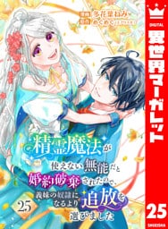 精霊魔法が使えない無能だと婚約破棄されたので、義妹の奴隷になるより追放を選びました 25