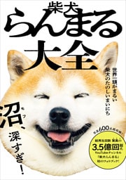 柴犬らんまる大全 - 世界一頭がまるい柴犬のたのしいまいにち -