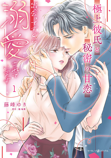 極上彼氏と秘密の甘恋～出会ってすぐに溺愛されています～