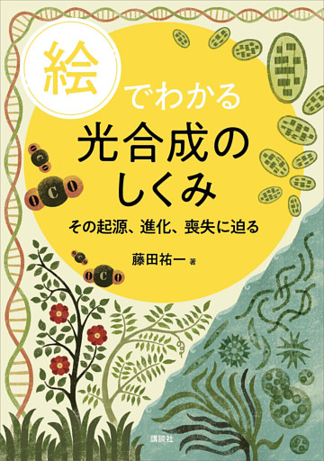 絵でわかる光合成のしくみ　その起源、進化、喪失に迫る