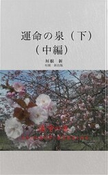 運命の泉　下　（中編）