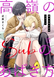 高嶺のSubのあばき方～君の心をとかすコマンド～5