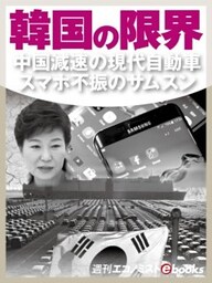 韓国の限界