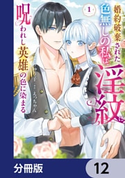 婚約破棄された色無しの私は、淫紋に呪われし英雄の色に染まる【分冊版】　12