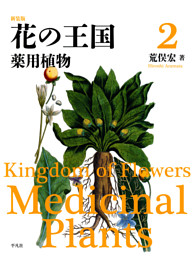 新装版 花の王国 2