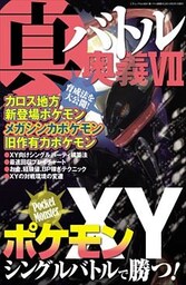 真・バトル奥義VII