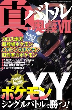 真・バトル奥義VII