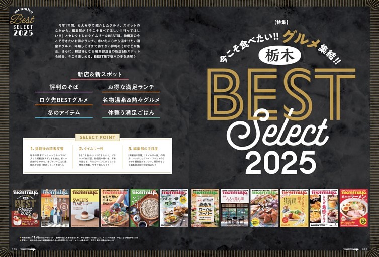 石井武夫、遠い岬、希少な額装用画集より、新品高級額装付、状態良好 石井優希「二十歳の約束」 (FLASH) | dマガジン