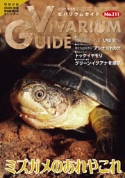 ビバリウムガイド No.111  2025年冬号
