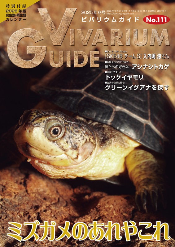ビバリウムガイド No.111  2025年冬号