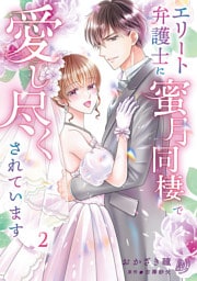 エリート弁護士に蜜月同棲で愛し尽くされています　2