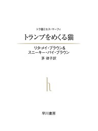 トランプをめくる猫