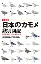 決定版 日本のカモメ識別図鑑見分けるポイントが良くわかる