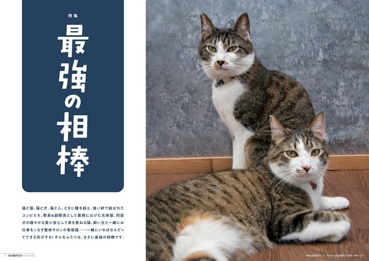 特集　最強の相棒
