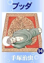 ブッダ(カラー版) 14巻