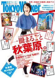 TokyoWalker東京ウォーカー　2014 No.12
