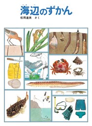 海辺のずかん