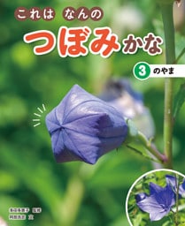 これはなんのつぼみかな　(3)のやま