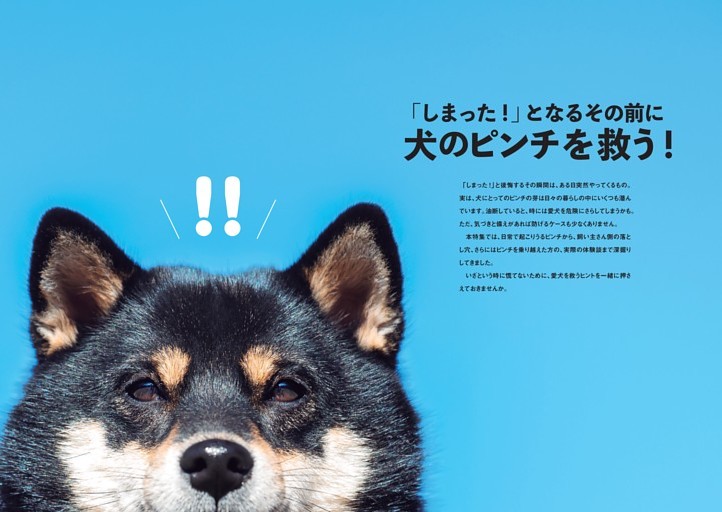 大特集　犬のピンチを救う！