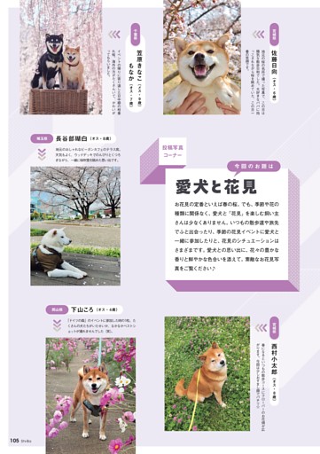 投稿写真コーナー愛犬と花見