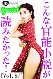 こんな官能小説が読みたかった！vol.87